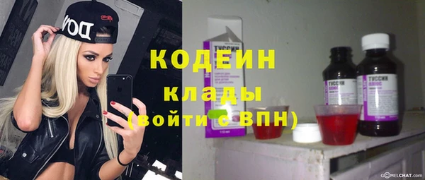 ешки Алзамай