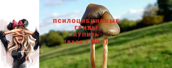 мяу мяу мука Алексин