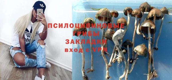 мяу мяу мука Алексин