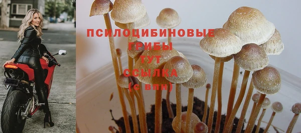 ешки Алзамай